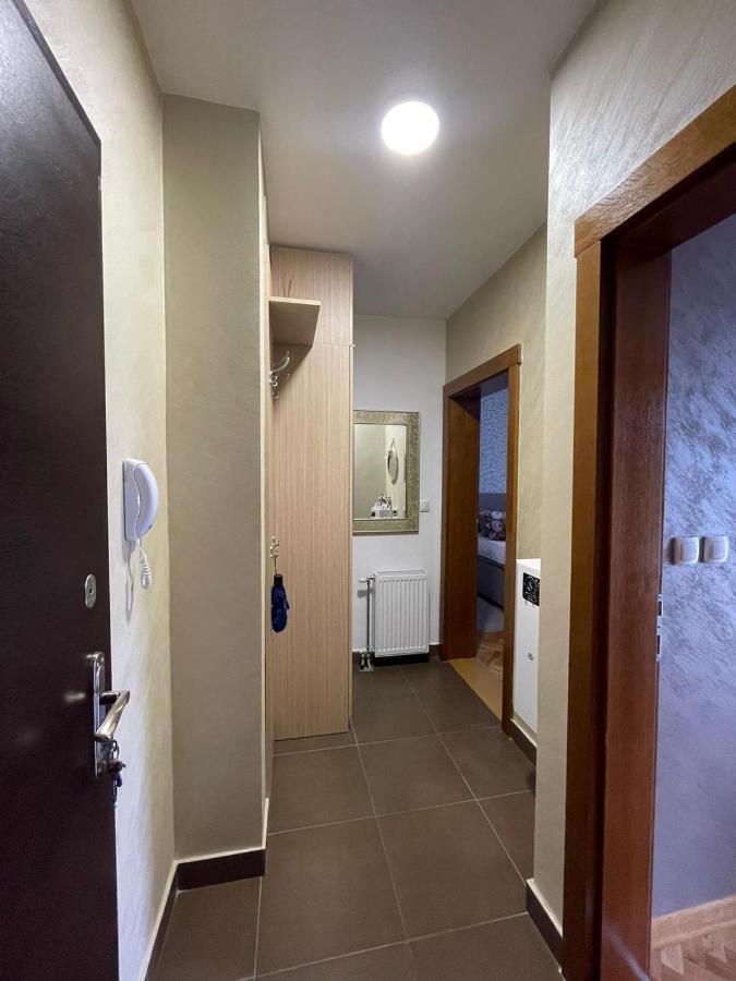 Vrnjačka Banja Apartman Miniki מראה חיצוני תמונה