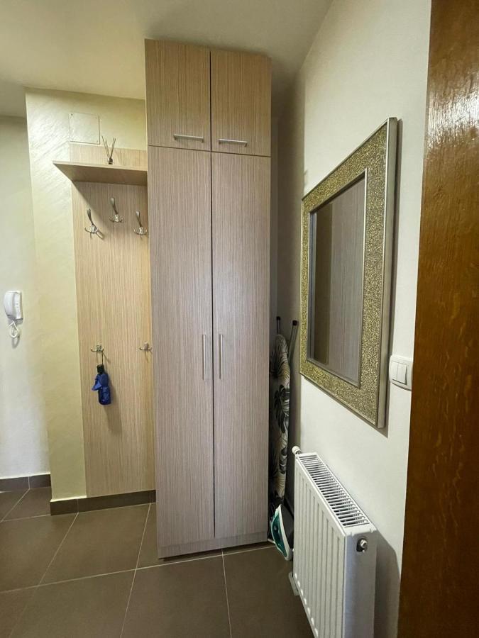 Vrnjačka Banja Apartman Miniki מראה חיצוני תמונה